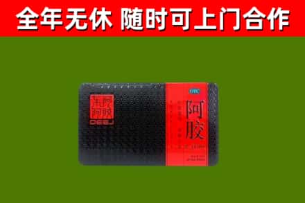 嵊泗回收阿胶