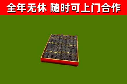 嵊泗回收海参
